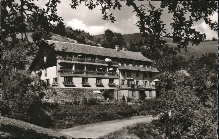 Belchen Baden Belchen Haus Sonnenhof Holzinshaus