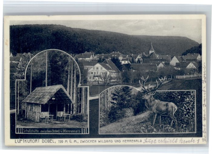 Dobel Schwarzwald Dobel Schutzhuette Hirsch