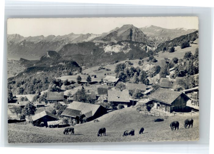 Bruenig BE Bruenig Wasserschwendi