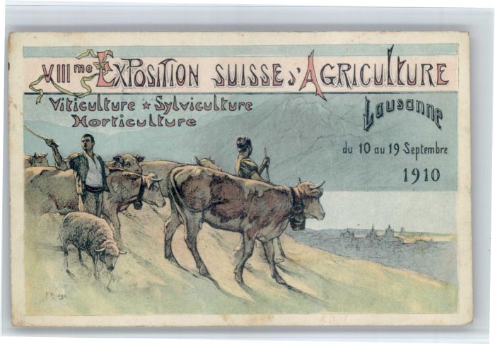 Lausanne VD Lausanne Kuehe