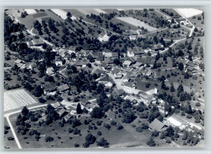 Aesch ZH Fliegeraufnahme