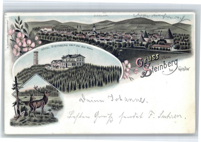 Goslar Steinberg Hotel Hirsch