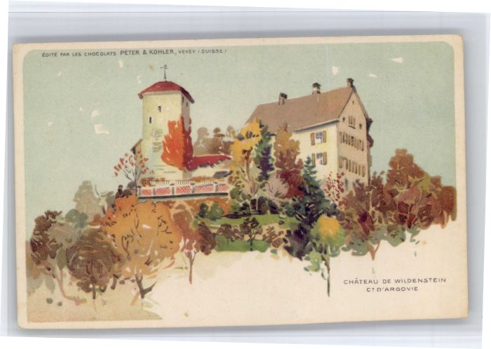 Vevey VD Vevey Schloss Wildenstein