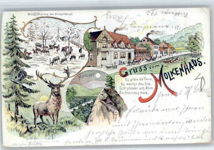 Bad Harzburg ? Molkenhaus Muxklippe Hirsch