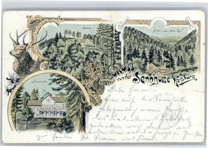 Bad Harzburg Sennhuette Hirsch