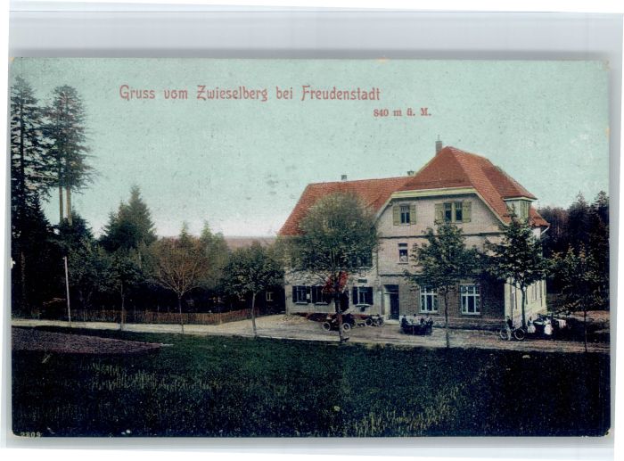Zwieselberg Freudenstadt Hotel Pension Hirsch