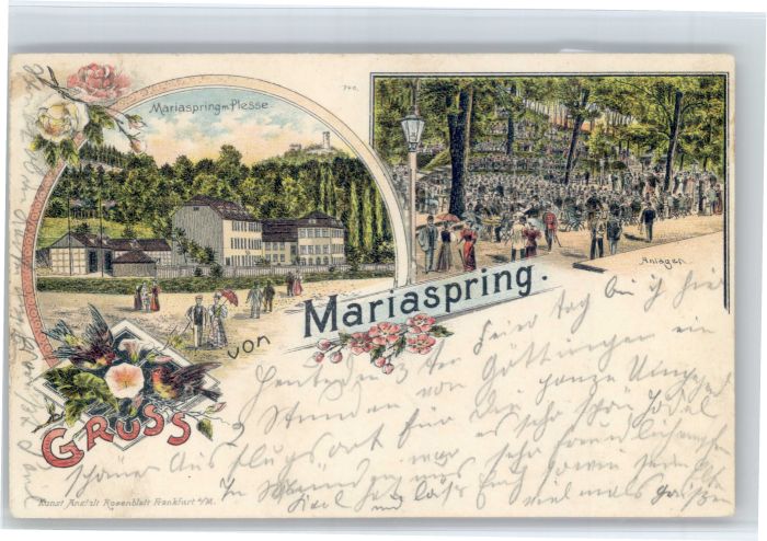Bovenden Mariaspring Plesse