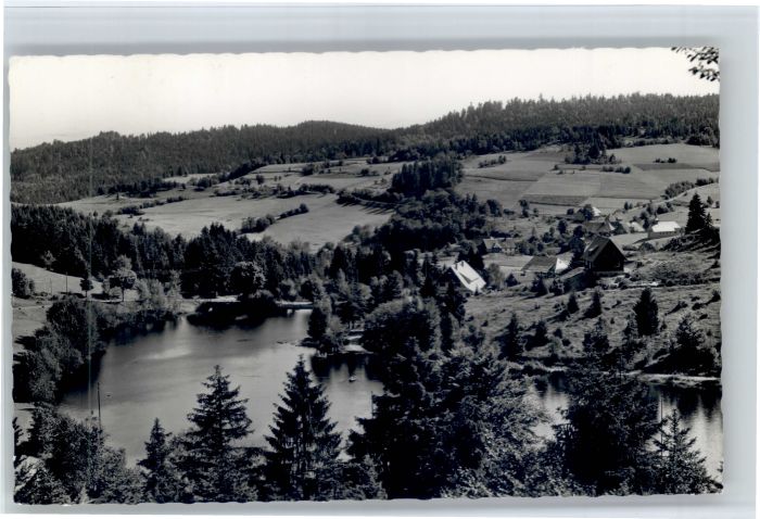 Wittenschwand Klosterweiherhof