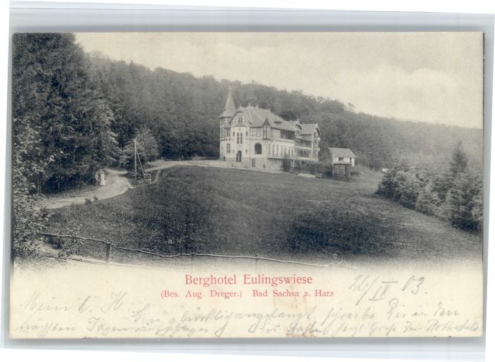 Bad Sachsa Harz Bad Sachsa Berg Hotel Eulingswiese