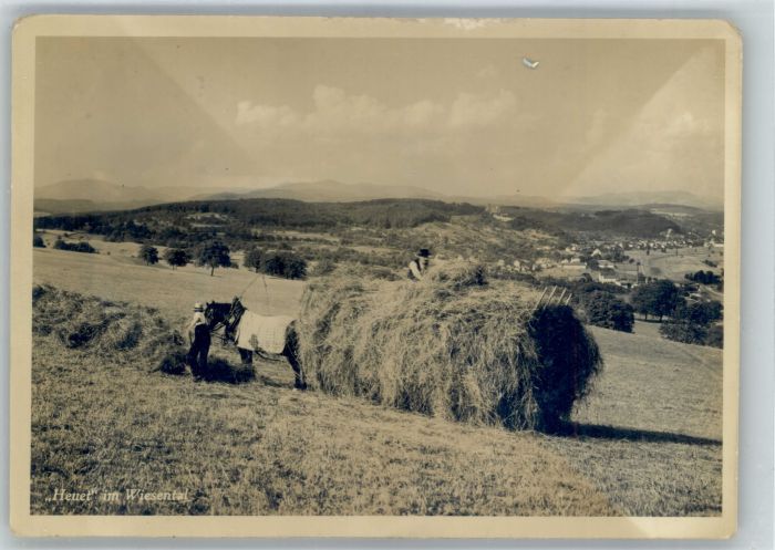 Hauingen [Handschriftlich] Heuet