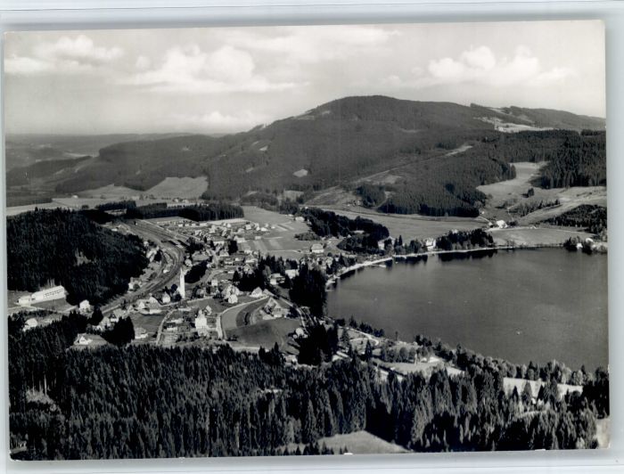 Titisee Fliegeraufnahme