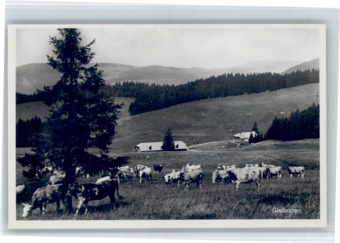Schoenau Schwarzwald isiboden