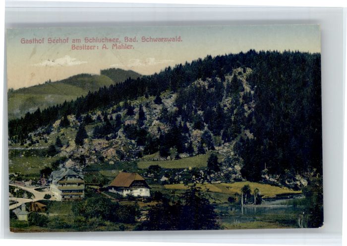 Schluchsee Gasthof Seehof