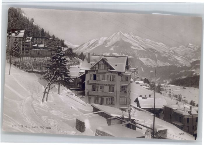 Leysin Hotel