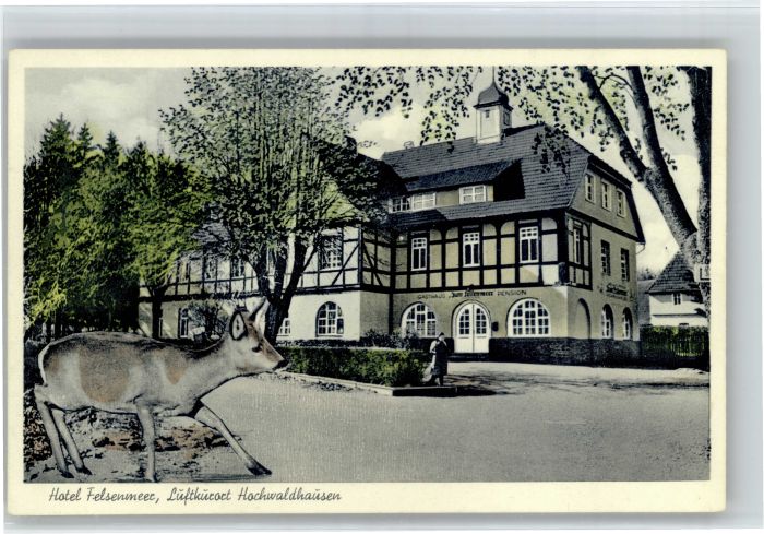 Ilbeshausen-Hochwaldhausen Hotel Felsenmeer