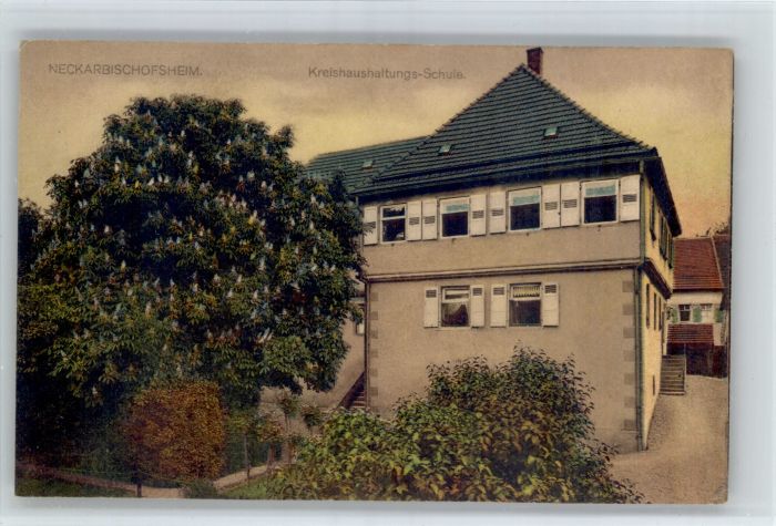 Neckarbischofsheim Kreishaushaltungsschule