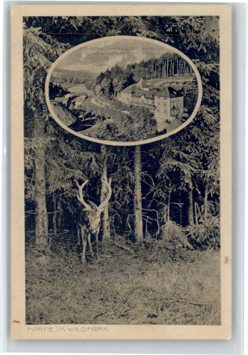 Mudau [Stempelabschlag] Wildpark Gasthaus Pension zum Prinzen Ernst