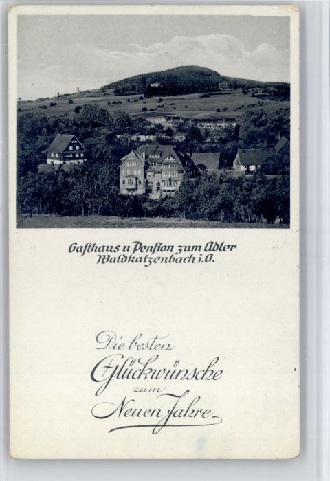 Waldkatzenbach Gasthaus Pension zum Adler