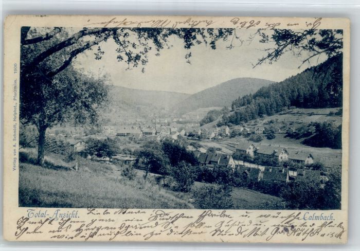 Calmbach Enz Calmbach