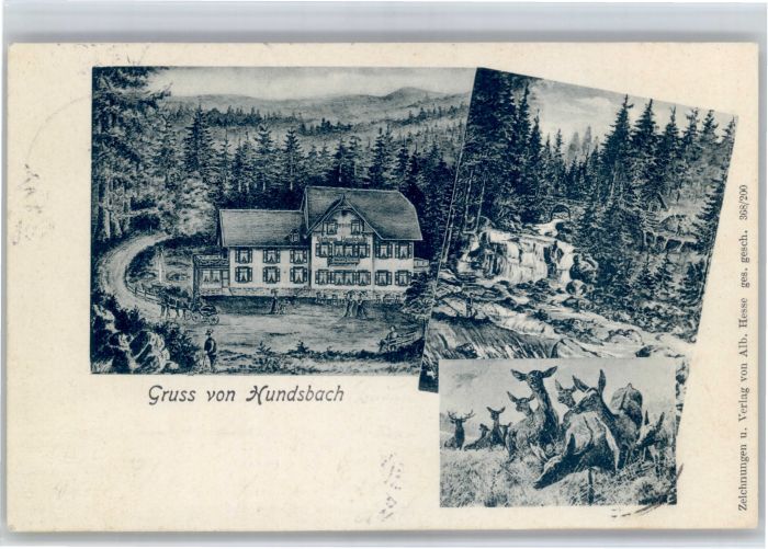 Hundsbach  Forbach Schwarzwald BW Hundsbach Rehe