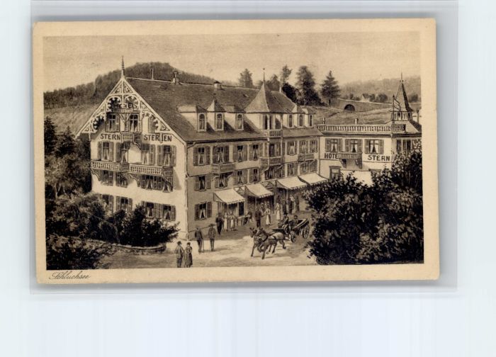 Schluchsee Hotel Sternen