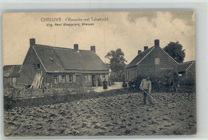 Gheluwe Tabakveld