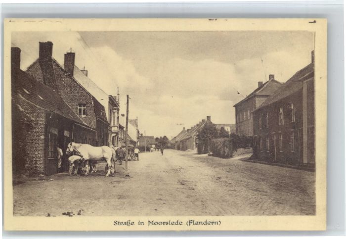 Moorslede Pferd