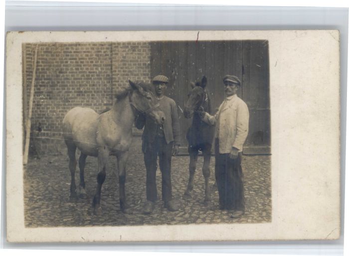 Doelzig Stempelabschlag] Pferd