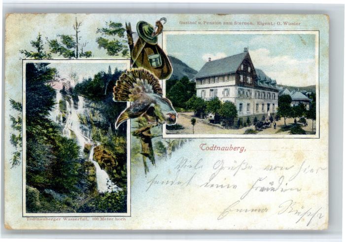 Todtnauberg Gasthof Pension zum Sternen Auerhahn Todtnauberger Wasserfall