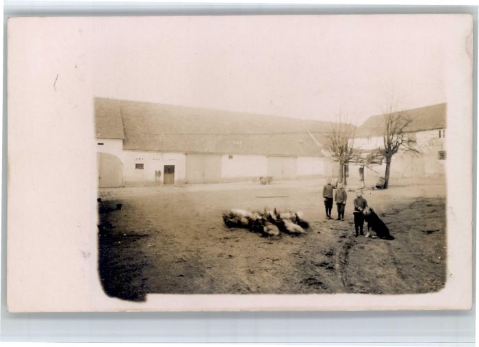 Purschwitz [Stempelabschlag]