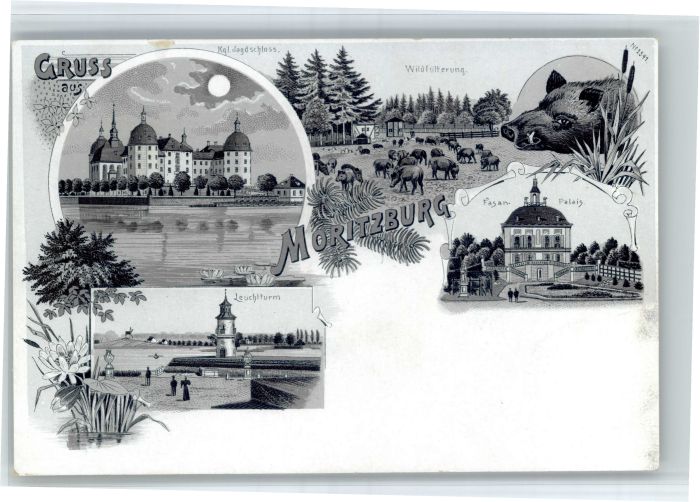 Moritzburg Sachsen Moritzburg Jagdschloss Fasanpalais Wildschwein Leuchtturm Lit