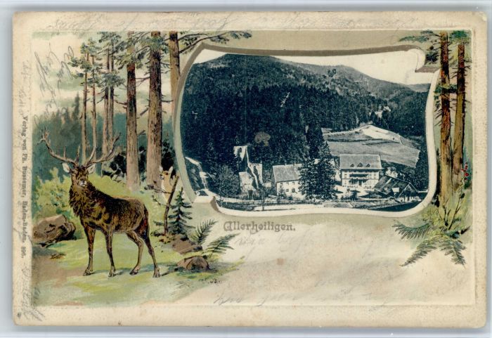 Allerheiligen Oppenau Allerheiligen Hirsch Praegedruckkarte