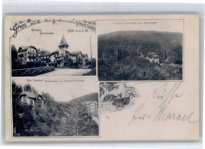 Hundseck Villa Waldheil Kurhaus Hundseck