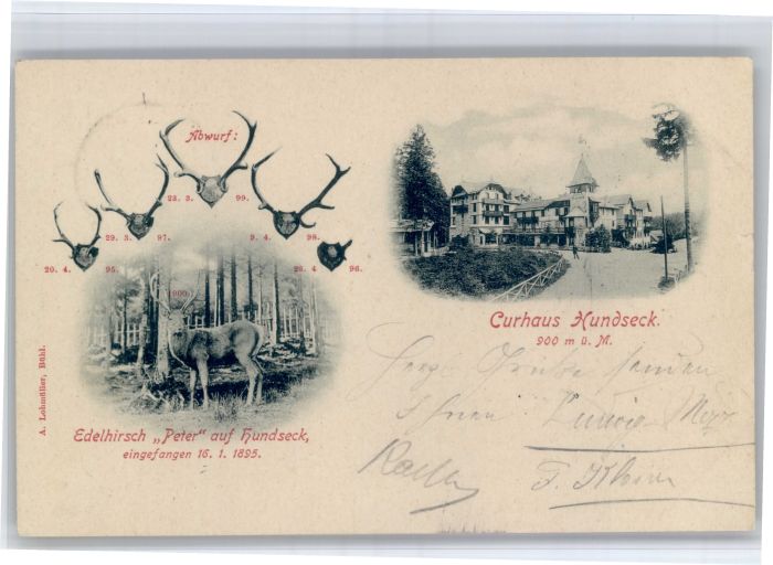 Hundseck 900m Buehl BW Kurhaus Hundseck Edelhirsch Peter