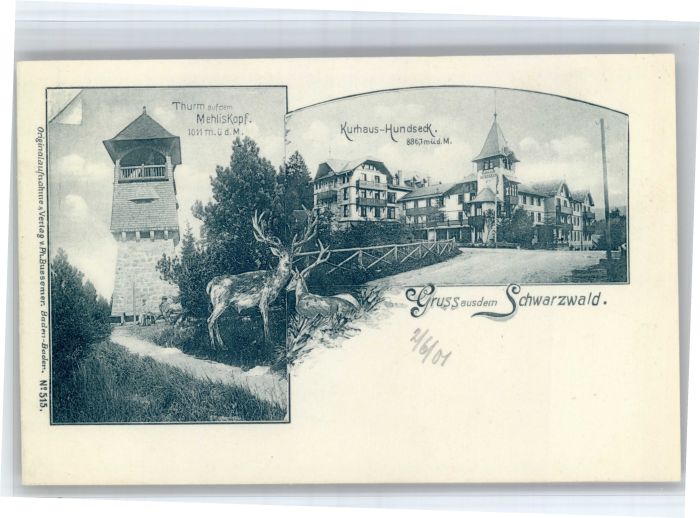 Hundseck 900m Buehl BW Kurhaus Hundseck Turm Mehliskopf