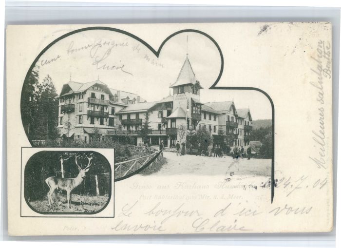 Hundseck Kurhaus Hundseck Hirsch