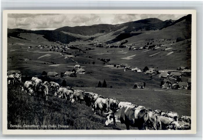 Bernau Schwarzwald Kuehe