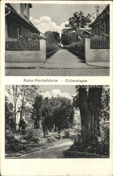 Mainz Rhein Bischofsheim Gruenanlagen