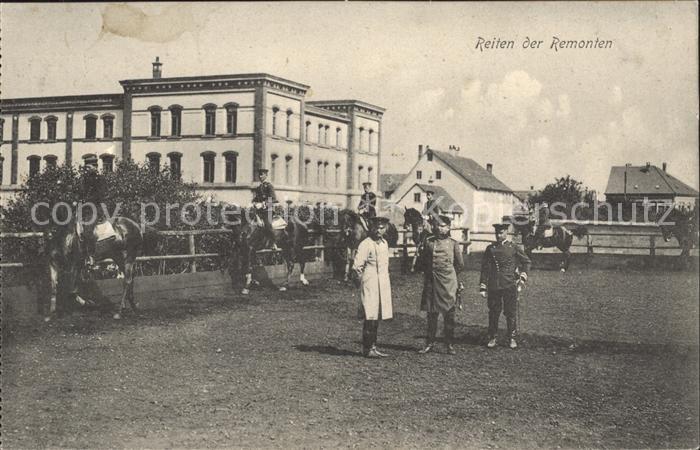 Ludwigsburg Reiten der Remonten
