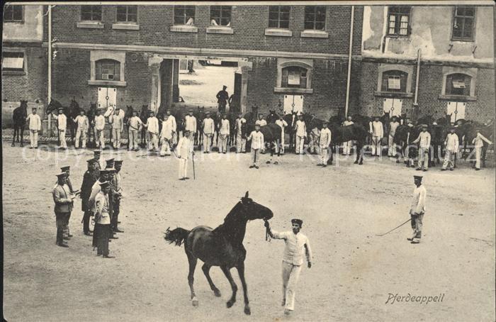 Ludwigsburg Pferdeappeil