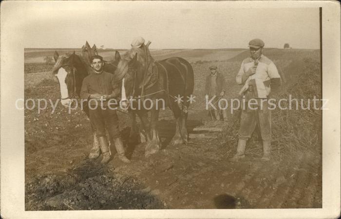 Dettingen Hohenzollern Bauer Pferde Foto