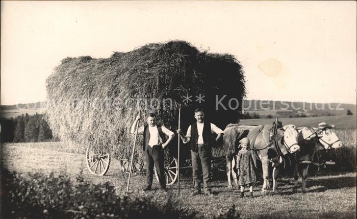 Dettingen Hohenzollern Bauer Foto