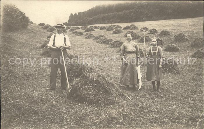 Dettingen Hohenzollern Bauernarbeiten Heuernte