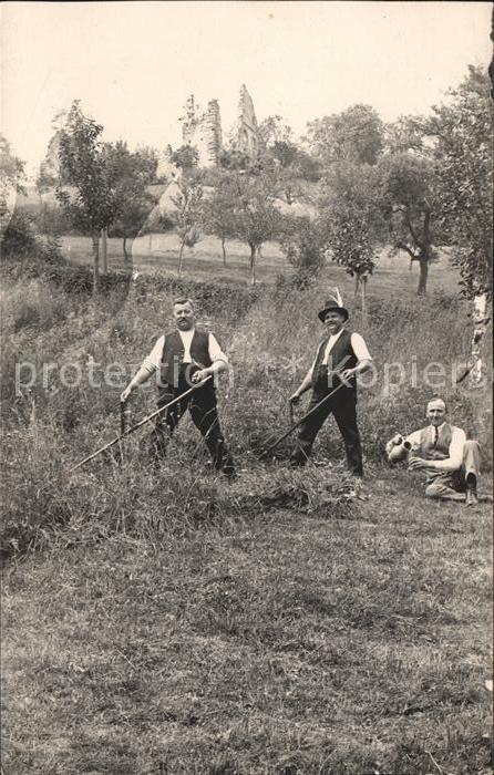 Dettingen Hohenzollern Bauernarbeiten Heuernte