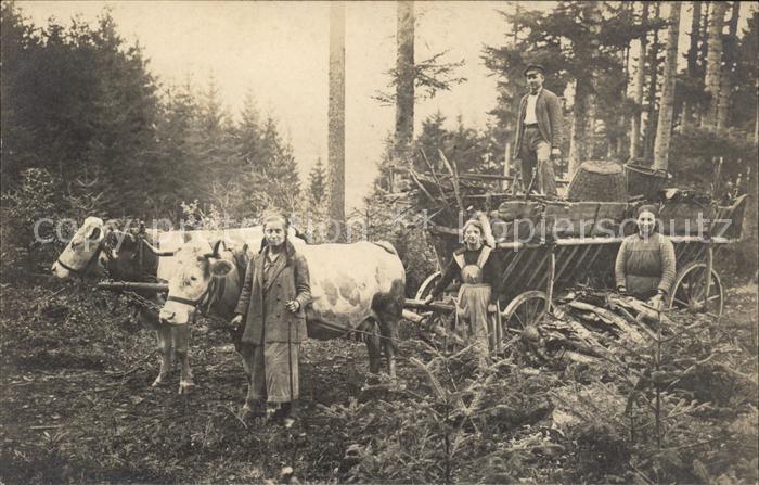 Dettingen Hohenzollern Bauernfamilie Foto Wald