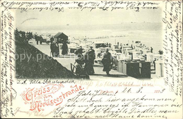 Borkum Auf der Strandmauer bei Flut