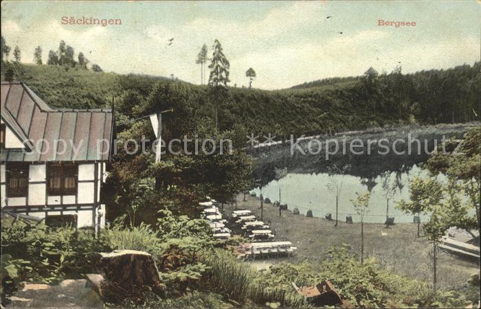 Saeckingen Rhein Bergsee