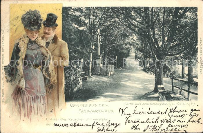 Freiburg Breisgau Partie aus dem Schlossberg