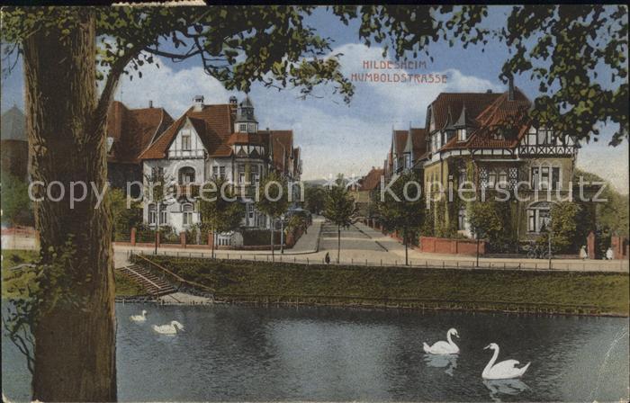 Hildesheim Humboldstrasse Schwaene