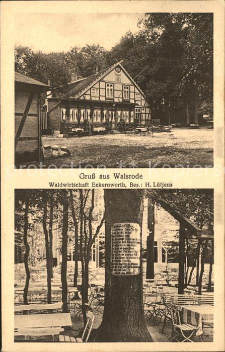 Walsrode Lueneburger Heide Waldwirtschaft Eckernworth
